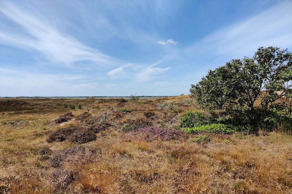 Foto van 4 persoons vakantie huis in Fanø-By Traum - Vakantiehuis in Fanø - Untagged