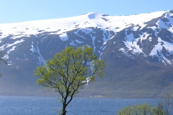 Foto van 6 persoons vakantie huis in Gullesfjord - Vakantiehuis in Gullesfjord - Untagged