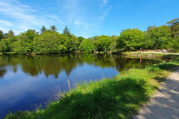 Foto van Idyllische strandhut -- By Traum Ferienwohnungen - Vakantiehuis in Ålbæk - WaterView