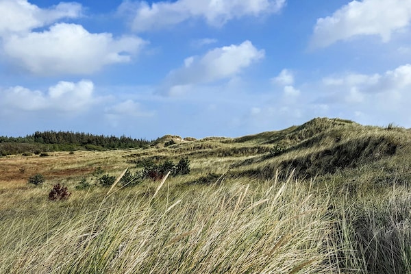 Foto van Idyllische strandhut -- By Traum Ferienwohnungen - Vakantiehuis in Ålbæk - Untagged