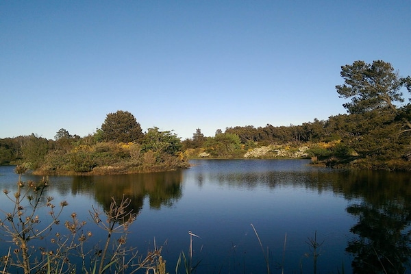 Foto van Idyllische strandhut -- By Traum Ferienwohnungen - Vakantiehuis in Ålbæk - WaterView