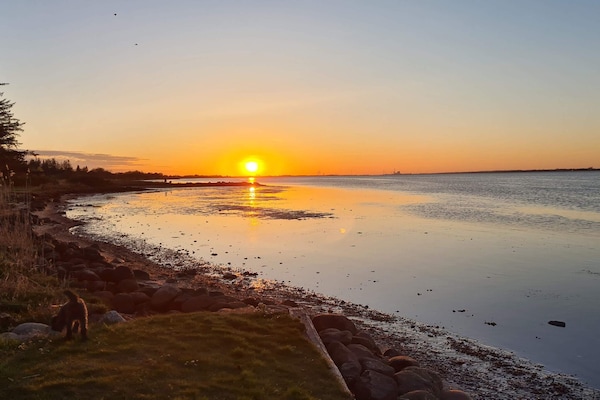 Foto van 5 persoons vakantie huis in Storvorde-By Traum - Vakantiehuis in Storvorde - WaterView