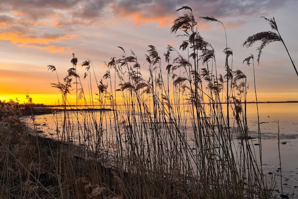 Foto van 5 persoons vakantie huis in Storvorde-By Traum - Vakantiehuis in Storvorde - WaterView