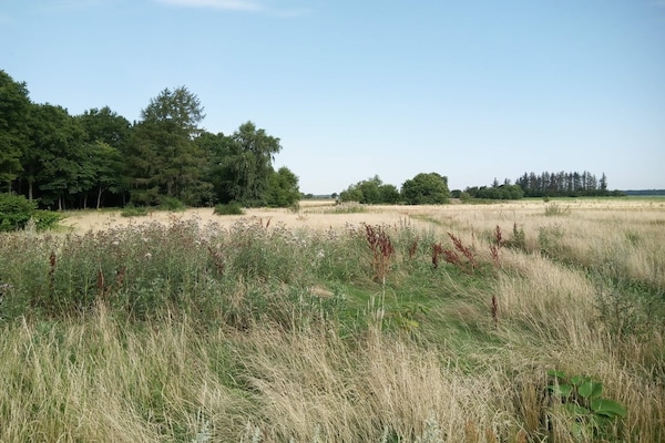Foto van 5 persoons vakantie huis in Storvorde-By Traum - Vakantiehuis in Storvorde - Untagged