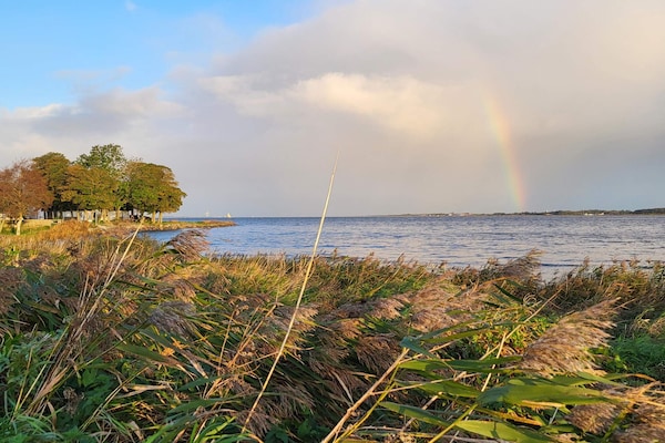 Foto van 5 persoons vakantie huis in Storvorde-By Traum - Vakantiehuis in Storvorde - WaterView