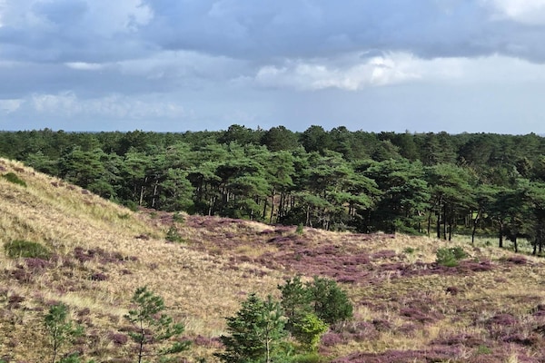 Foto van 6 persoons vakantie huis in Blåvand - Vakantiehuis in Blåvand - Untagged