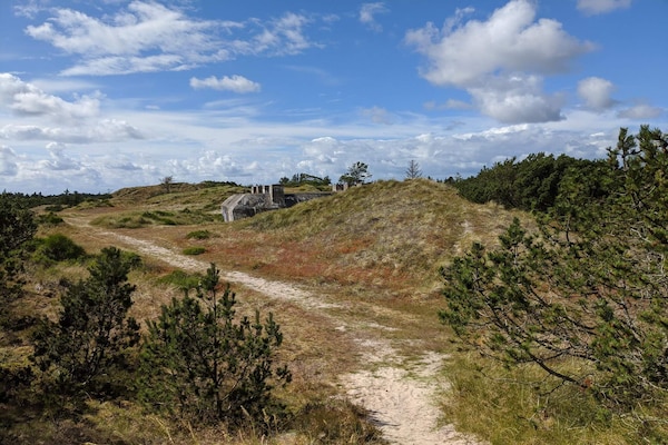 Foto van 6 persoons vakantie huis in Blåvand - Vakantiehuis in Blåvand - Untagged