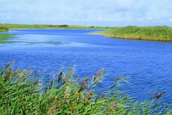 Foto van 6 persoons vakantie huis in Hemmet-By Traum - Vakantiehuis in Hemmet - WaterView