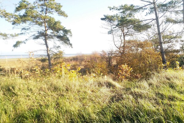 Foto van 10 persoons vakantie huis in Hadsund-By Traum - Vakantiehuis in Hadsund - Untagged