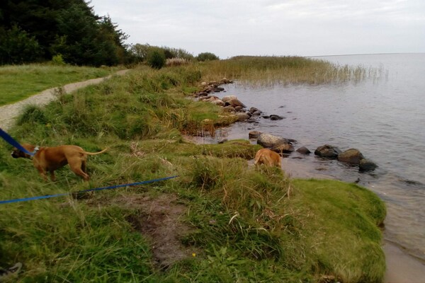 Foto van Afgelegen oase bij fjord -- By Traum Ferienwohnungen - WaterView