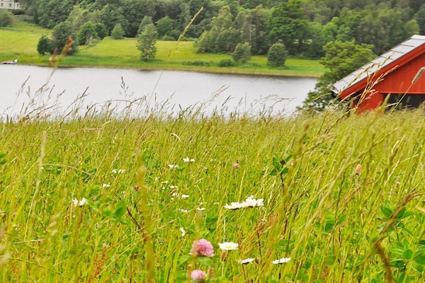 Foto van 4 persoons vakantie huis in Frändefors - Vakantiehuis in Frändefors - Outdoor