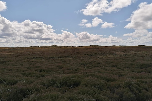 Foto van Gezellig toevluchtsoord bij golfbaan -- By Traum Ferienwohnungen - Untagged