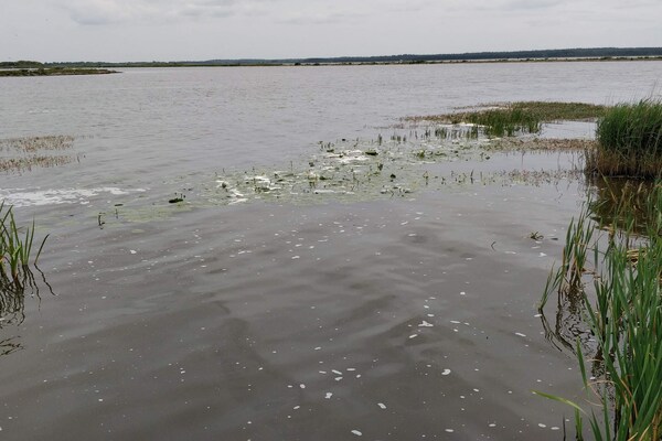 Foto van Gezellig toevluchtsoord bij golfbaan -- By Traum Ferienwohnungen - WaterView