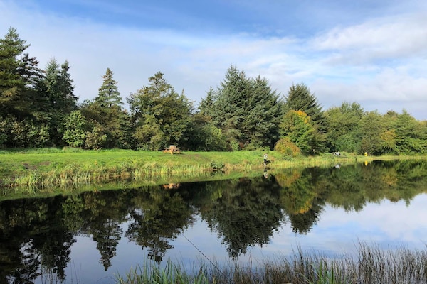 Foto van 4 persoons vakantie huis in Oksbøl-By Traum - Vakantiehuis in Oksbøl - WaterView