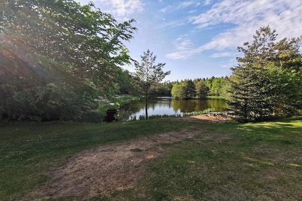Foto van 4 persoons vakantie huis in Oksbøl-By Traum - Vakantiehuis in Oksbøl - WaterView