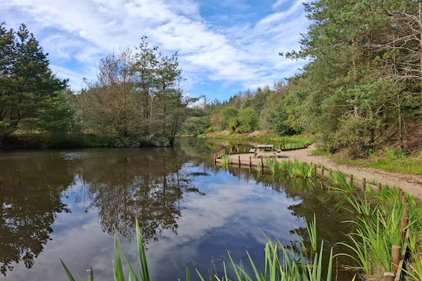 Foto van 4 persoons vakantie huis in Oksbøl-By Traum - Vakantiehuis in Oksbøl - WaterView