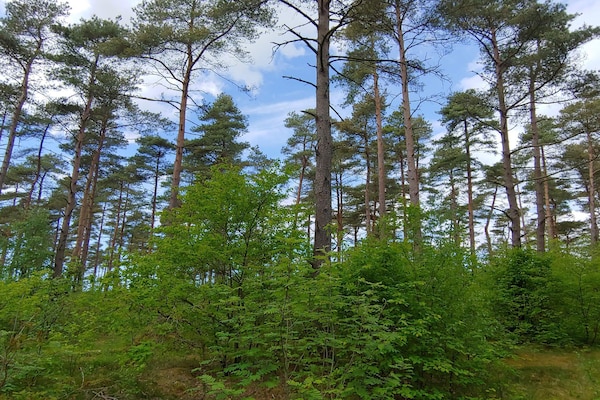 Foto van 4 persoons vakantie huis in Oksbøl-By Traum - Vakantiehuis in Oksbøl - Untagged