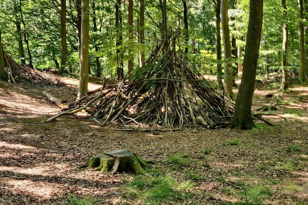 Foto van 4 persoons vakantie huis in Oksbøl-By Traum - Vakantiehuis in Oksbøl - Untagged