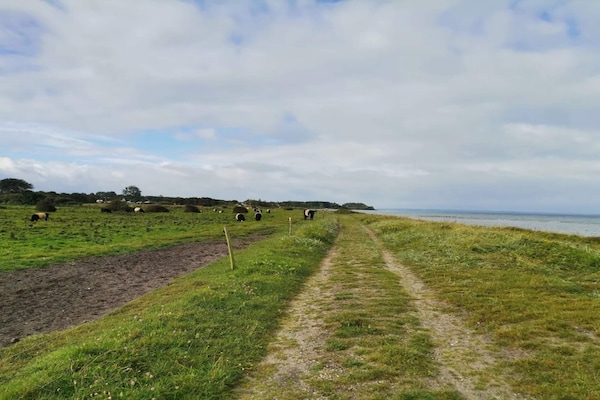 Foto van 30 persoons vakantie huis in Nordborg-By Traum - Vakantiehuis in Nordborg - WaterView