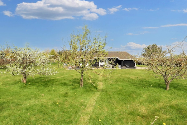 Foto van 6 persoons vakantie huis in Hadsund-By Traum - Vakantiehuis in Hadsund - View