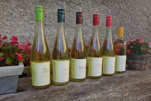 Foto van 4 Weingut Hauerhof 99 - Vakantiehuis in Klosterneuburg - Untagged