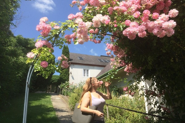Foto van 4 Weingut Hauerhof 99 - Vakantiehuis in Klosterneuburg - Untagged