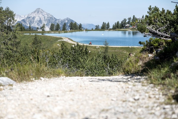 Foto van 3-slaapkamer Alpenappartement voor 8 gasten - Vakantiehuis in Hinterstoder - AreaSummer1KM