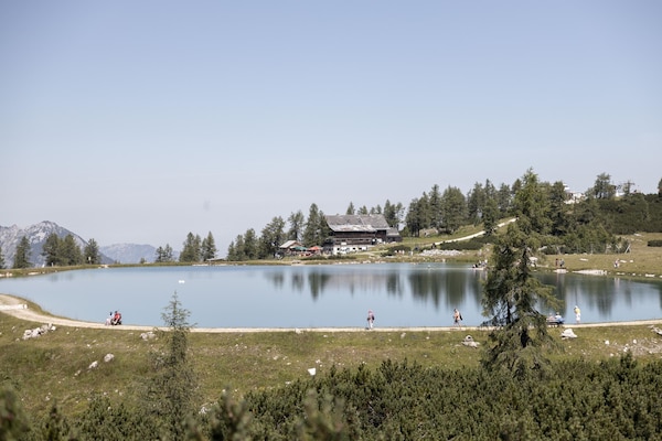 Foto van 3-slaapkamer Alpenappartement voor 8 gasten - Vakantiehuis in Hinterstoder - AreaSummer5KM
