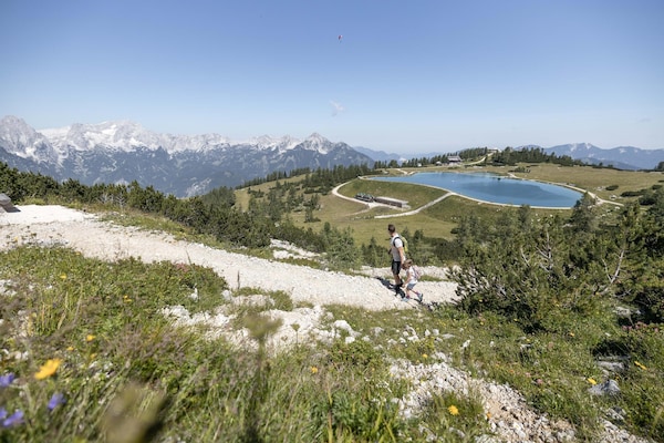 Foto van 3-slaapkamer Alpenappartement voor 8 gasten - Vakantiehuis in Hinterstoder - AreaSummer20KM