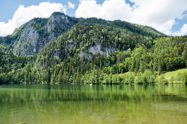 Foto van 3-slaapkamer Alpenappartement voor 8 gasten - Vakantiehuis in Hinterstoder - AreaSummer5KM