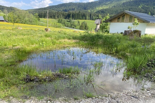Foto van Appartement Unterkoeck - Vakantiehuis in Russbach am Pass Gschütt - Untagged