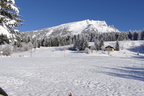 Foto van Appartement Unterkoeck - Vakantiehuis in Russbach am Pass Gschütt - Untagged