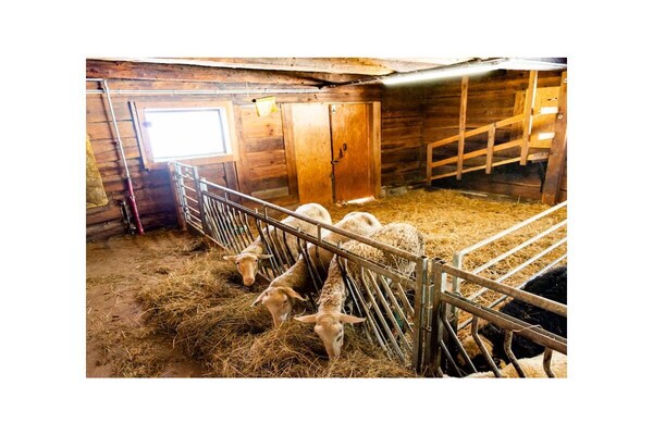Foto van Boerderij in Forstau met zwembad - Vakantiehuis in Forstau - Untagged