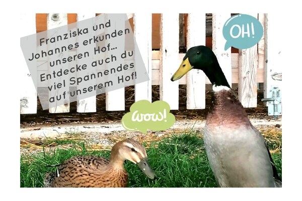 Foto van Boerderij in Forstau met zwembad - Vakantiehuis in Forstau - Untagged