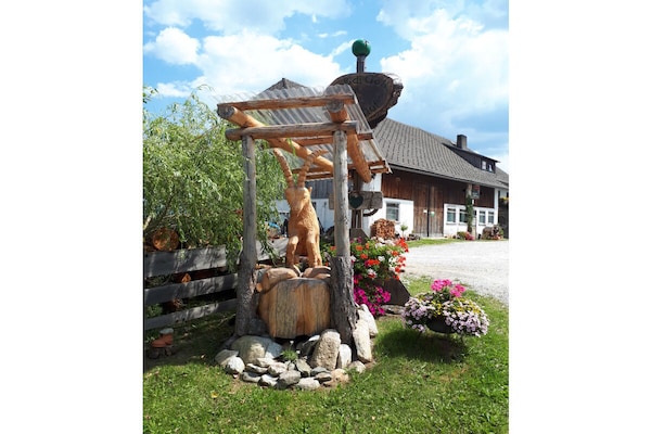 Foto van Biologische boerderij met 1 slaapkamer - Vakantiehuis in Mariapfarr - Untagged
