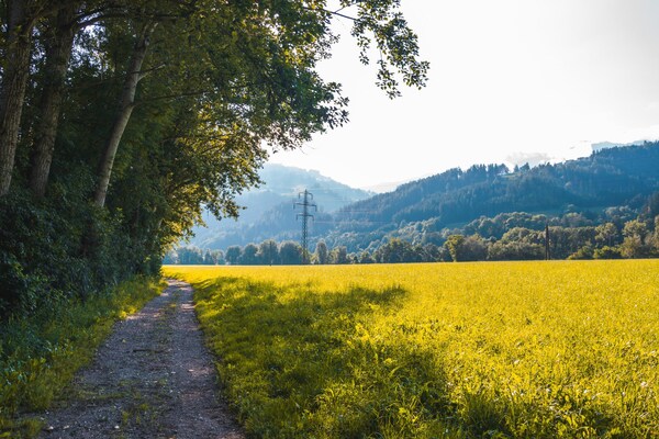Foto van Premium appartement in Schwaz - Vakantiehuis in Schwaz - AreaSummer5KM