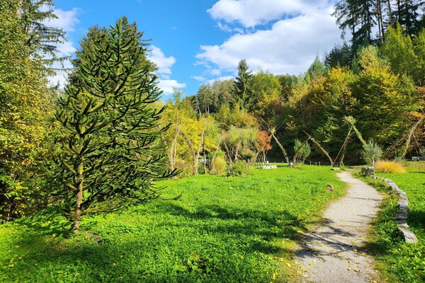 Foto van Premium appartement in Schwaz - Vakantiehuis in Schwaz - ExteriorSummer