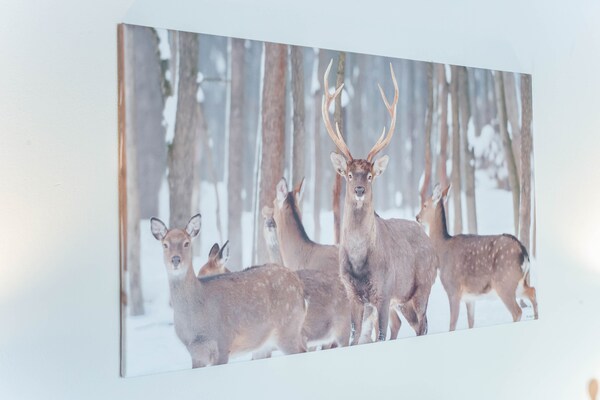 Foto van Appartement in Kirchberg bij Skipistes - Vakantiehuis in Kirchberg in Tirol - Ambiance