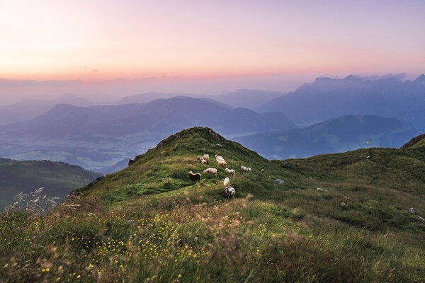 Foto van Appartement met 2 slaapkamer voor 6 personen - Vakantiehuis in Reith bei Kitzbühel - BathRoom