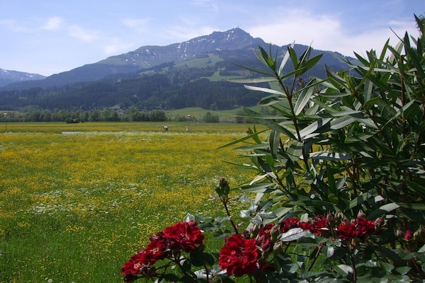 Foto van 2 in het Astl appartementengebouw - Vakantiehuis in St. Johann in Tirol - Untagged