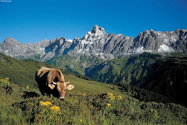 Foto van Chalet in Gaschurn bij Skilift - Vakantiehuis in Gaschurn - AreaWinter5KM