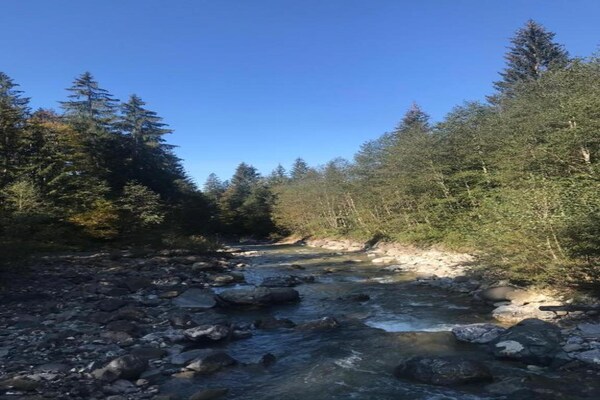 Foto van Idyllisch appartement in Sibratsgfäll - Vakantiehuis in Sibratsgfäll - AreaWinter5KM