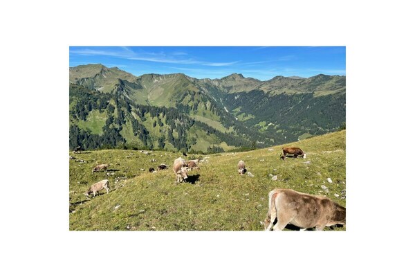 Foto van Birke im Hoefle - Vakantiehuis in Mittelberg - Untagged