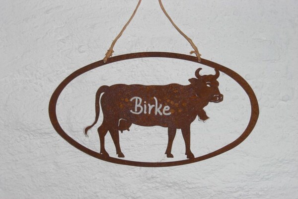 Foto van Birke im Hoefle - Vakantiehuis in Mittelberg - Untagged