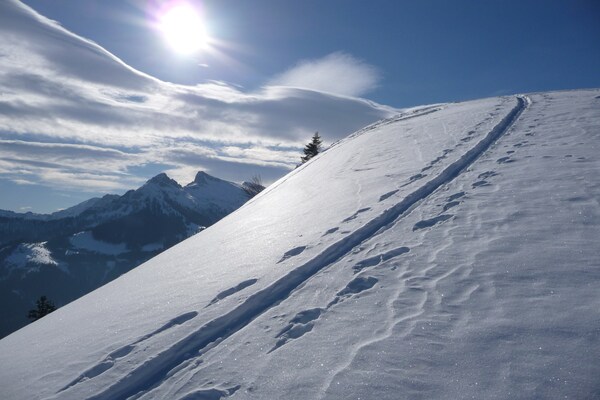 Foto van Appartement in Stiermarken met bubbelbad (zonder borg) - AreaWinter5KM