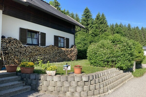 Foto van Bosrijk uitzicht bij het Drau-stuwmeer - Vakantiehuis in Feistritz im Rosental - Untagged