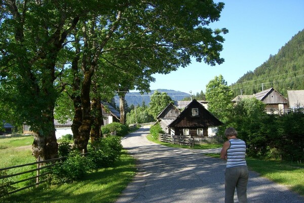 Foto van Bosrijk uitzicht bij het Drau-stuwmeer - Vakantiehuis in Feistritz im Rosental - Untagged