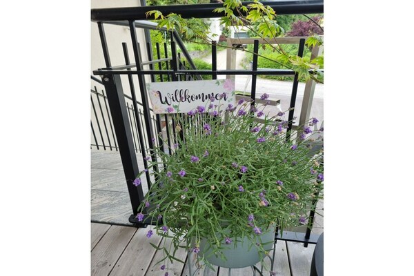 Foto van Binder, Hubertusstraße Apt. 1 - Vakantiehuis in Velden - Untagged