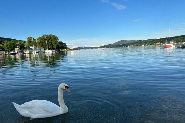 Foto van Binder, Hubertusstraße Apt. 1 - Vakantiehuis in Velden - Untagged