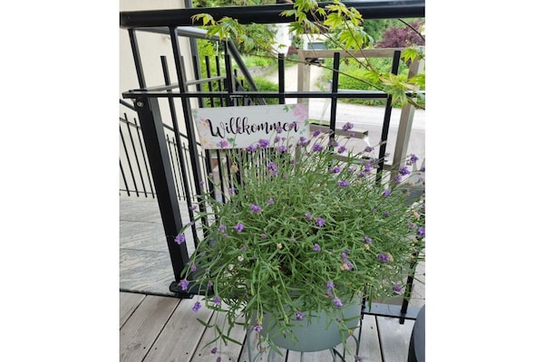 Foto van Binder, Hubertusstraße Apt. 3 - Vakantiehuis in Velden - Untagged